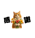 猫 族 ①（個別スタンプ：4）