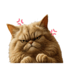 猫 族 ①（個別スタンプ：15）