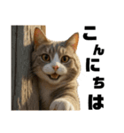 猫 族 ①（個別スタンプ：18）