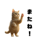 猫 族 ①（個別スタンプ：30）
