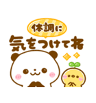 パンダさんとぴよこ♡カラフルで可愛い文字（個別スタンプ：16）