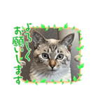 うちのルルです♡（個別スタンプ：5）