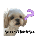 こむみみるぅぷぷ（個別スタンプ：19）