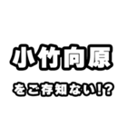 小竹向原好きなあなたへ（個別スタンプ：38）