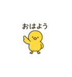 ゆるかわヒヨコの毎日スタンプ（個別スタンプ：3）