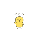 ゆるかわヒヨコの毎日スタンプ（個別スタンプ：4）