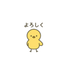 ゆるかわヒヨコの毎日スタンプ（個別スタンプ：8）