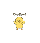 ゆるかわヒヨコの毎日スタンプ（個別スタンプ：13）
