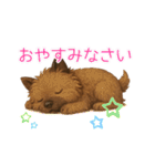 ケアンテリアのイラストスタンプ（個別スタンプ：6）