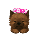 ケアンテリアのイラストスタンプ（個別スタンプ：27）
