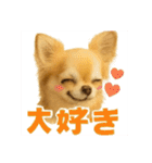 ぽてとまめVol.5（個別スタンプ：10）