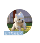 マルチーズ わたげの感情 Vol.2（個別スタンプ：10）