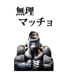 筋トレ☆ゴリラ【BIG】（個別スタンプ：6）