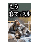 筋トレ☆ゴリラ【BIG】（個別スタンプ：20）
