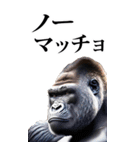 筋トレ☆ゴリラ【BIG】（個別スタンプ：38）