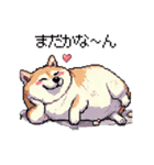 好きが溢れるふとっちょ柴犬2（個別スタンプ：2）