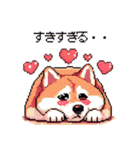 好きが溢れるふとっちょ柴犬2（個別スタンプ：3）