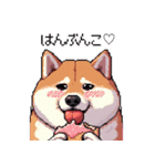好きが溢れるふとっちょ柴犬2（個別スタンプ：4）