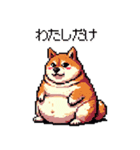 好きが溢れるふとっちょ柴犬2（個別スタンプ：6）