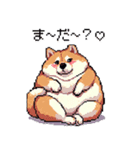 好きが溢れるふとっちょ柴犬2（個別スタンプ：7）