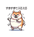 好きが溢れるふとっちょ柴犬2（個別スタンプ：12）