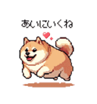 好きが溢れるふとっちょ柴犬2（個別スタンプ：13）