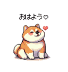 好きが溢れるふとっちょ柴犬2（個別スタンプ：16）