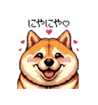 好きが溢れるふとっちょ柴犬2（個別スタンプ：17）