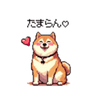 好きが溢れるふとっちょ柴犬2（個別スタンプ：20）