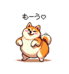 好きが溢れるふとっちょ柴犬2（個別スタンプ：21）