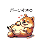 好きが溢れるふとっちょ柴犬2（個別スタンプ：22）