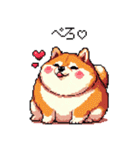 好きが溢れるふとっちょ柴犬2（個別スタンプ：24）