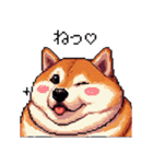 好きが溢れるふとっちょ柴犬2（個別スタンプ：25）