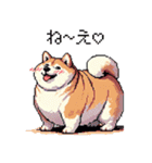 好きが溢れるふとっちょ柴犬2（個別スタンプ：26）