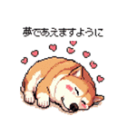 好きが溢れるふとっちょ柴犬2（個別スタンプ：28）