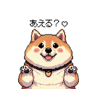 好きが溢れるふとっちょ柴犬2（個別スタンプ：29）