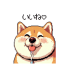 好きが溢れるふとっちょ柴犬2（個別スタンプ：35）