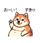 好きが溢れるふとっちょ柴犬2（個別スタンプ：37）
