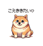 好きが溢れるふとっちょ柴犬2（個別スタンプ：38）