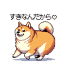 好きが溢れるふとっちょ柴犬2（個別スタンプ：39）