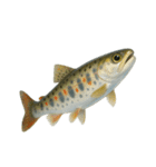 リアル！魚マニア・コレクションVol.1（個別スタンプ：3）