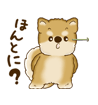 柴犬さん 2025 「たまには本音で」（個別スタンプ：4）