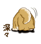 柴犬さん 2025 「たまには本音で」（個別スタンプ：5）