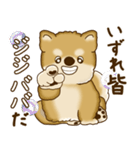 柴犬さん 2025 「たまには本音で」（個別スタンプ：7）