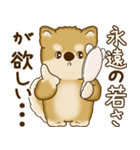 柴犬さん 2025 「たまには本音で」（個別スタンプ：9）