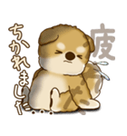 柴犬さん 2025 「たまには本音で」（個別スタンプ：10）