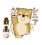 柴犬さん 2025 「たまには本音で」（個別スタンプ：11）
