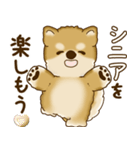 柴犬さん 2025 「たまには本音で」（個別スタンプ：12）