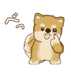 柴犬さん 2025 「たまには本音で」（個別スタンプ：13）