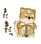 柴犬さん 2025 「たまには本音で」（個別スタンプ：17）